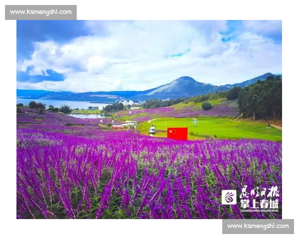 影像记忆：2025 野三关半马赛道骑行 —— 从起点拱门到云端花海