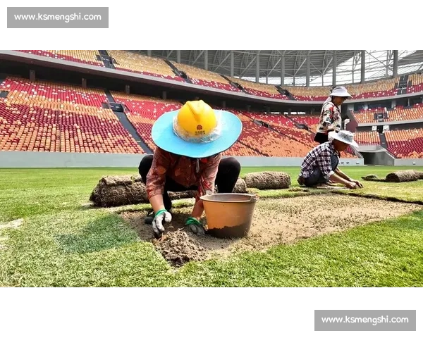 球场的草皮见证，2026世界杯谁能留下印记