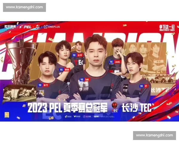 战队新篇，和平精英职业赛的未来展望